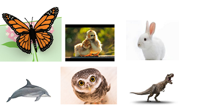 Animals.png